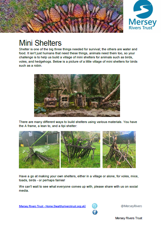 Mini Shelters Worksheet