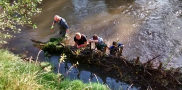 <h4><strong>Willow Spiling</strong></h4>