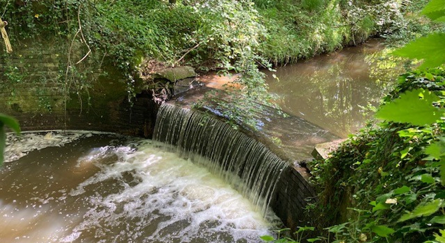 Duckow Weir Feasibility
