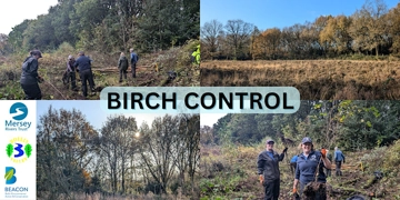 Birch Control Oct25