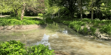 <h4><strong>Wetland Maintenance</strong></h4>