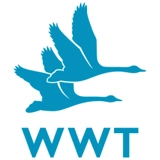 WWT Martin Mere