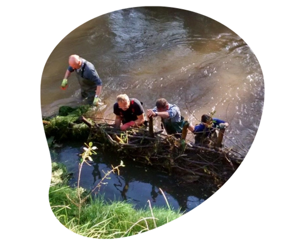 Weir removal an alternative option