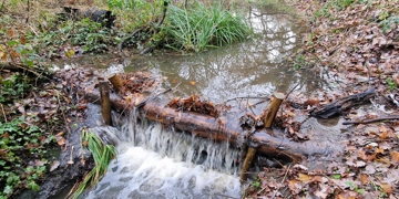Bruntwood Leaky Dam
